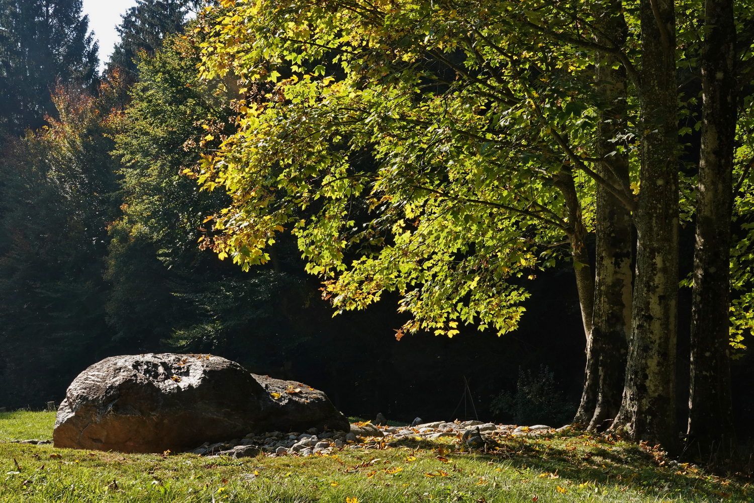 Das Erleben der Jahreszeiten: der Herbst